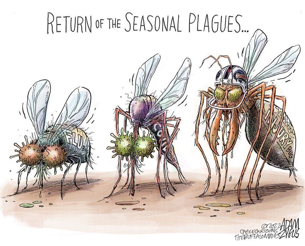 The Injury Bug